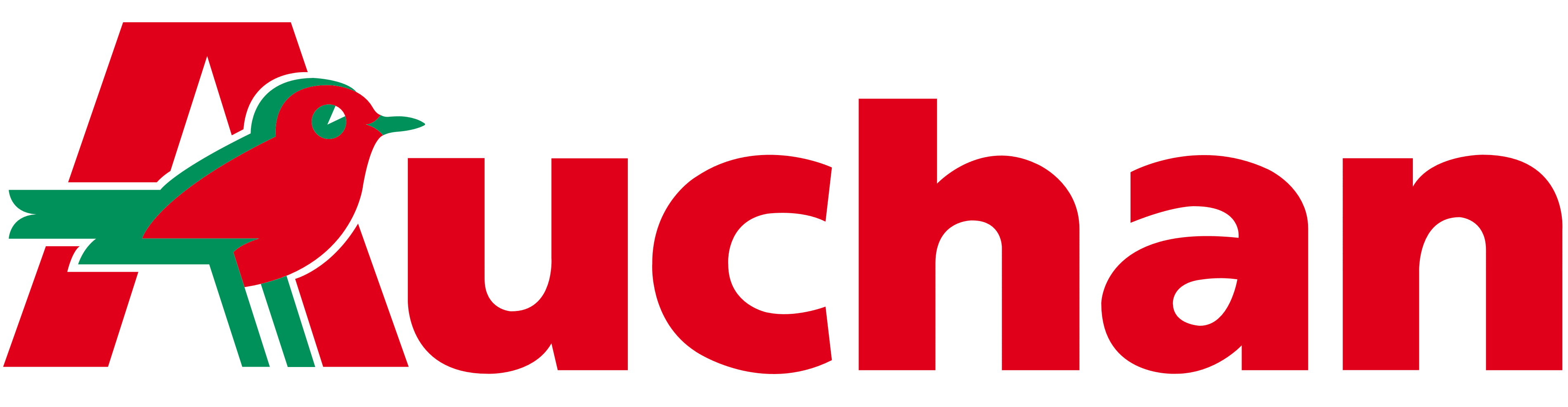 Client Logo